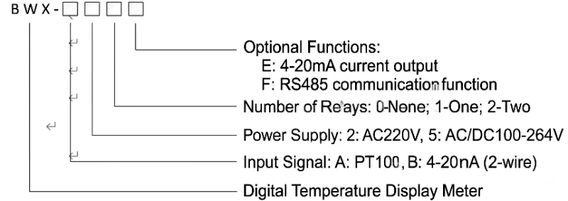 Selection of BWX Digital Temperature Display Instrument